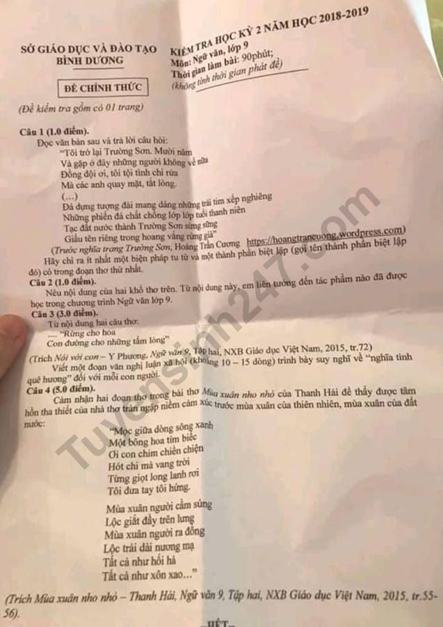 Dap an de thi ki 2 lop 9 mon Van 2019 - So GD Binh Duong