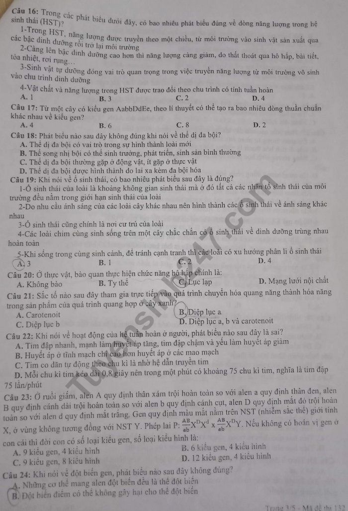 De thi thu THPTQG 2019 mon Sinh - THPT Dao Duy Tu lan 4