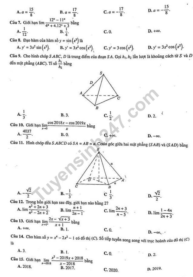 De thi ki 2 lop 11 mon Toan 2019 - THPT Chuyen DH Su pham HN