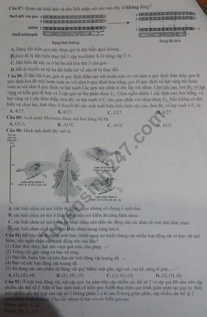 De thi thu THPTQG 2019 mon Sinh - Chuyen Nguyen Quang Dieu lan 2