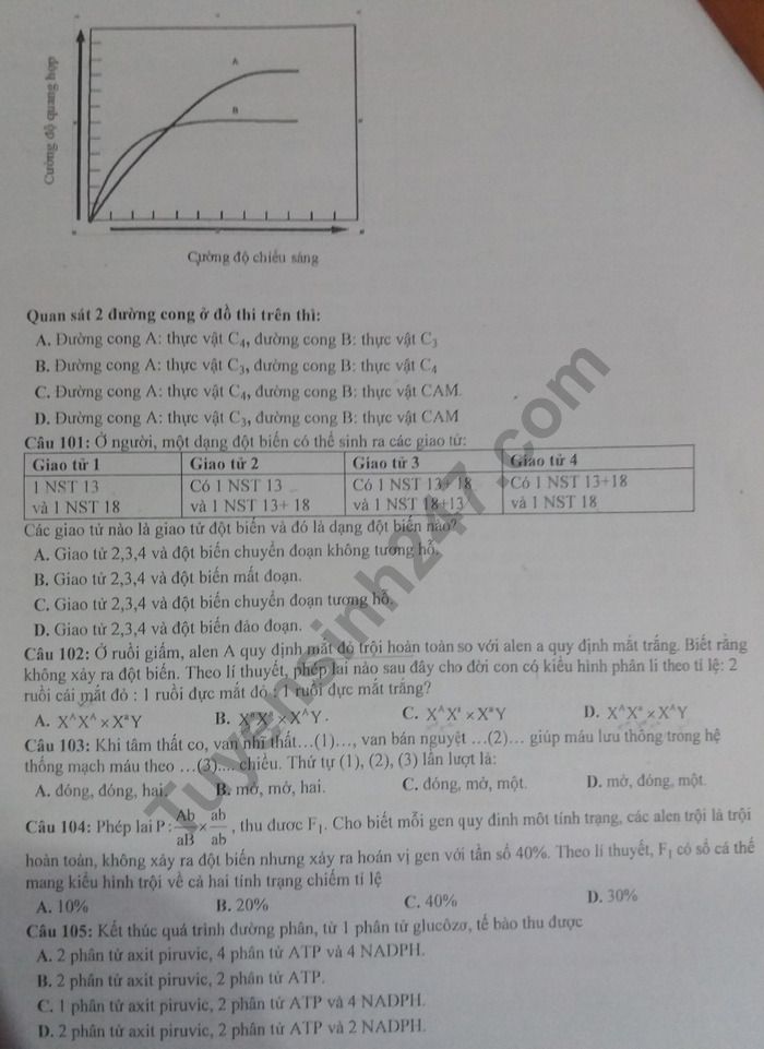 De thi thu THPTQG 2019 mon Sinh - Chuyen Nguyen Quang Dieu lan 2