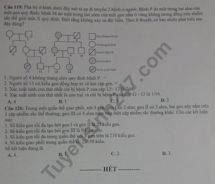 De thi thu THPTQG 2019 mon Sinh - Chuyen Nguyen Quang Dieu lan 2