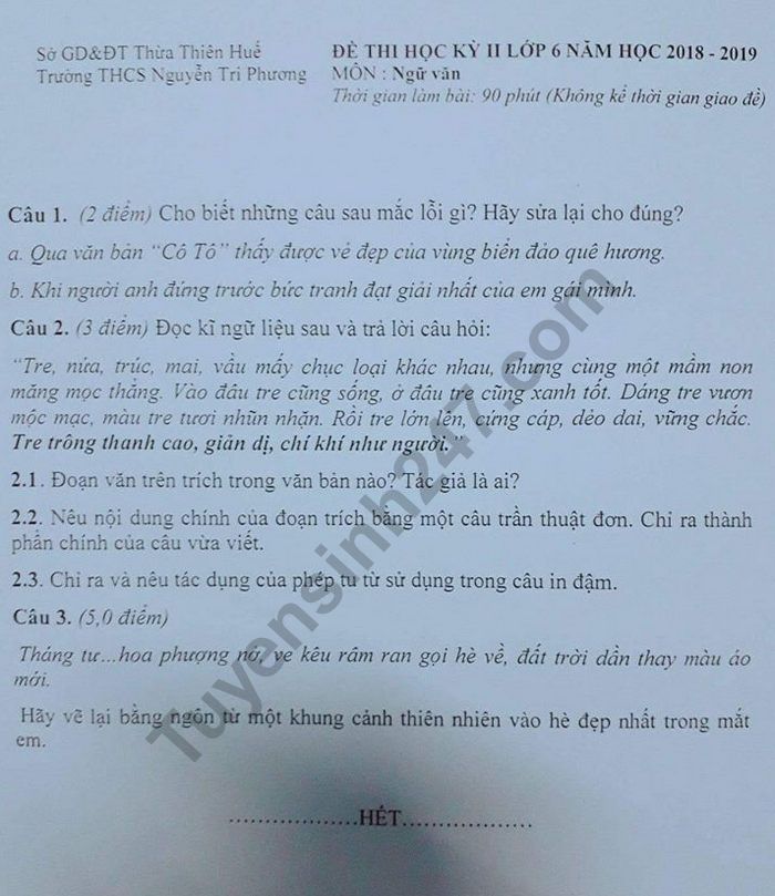 De thi hoc ki 2 mon Van lop 6 - THCS Nguyen Tri Phuong 2019