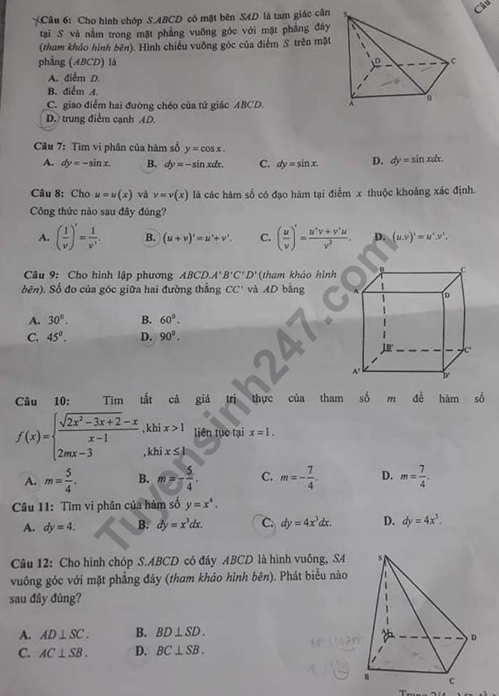 De ki 2 lop 11 mon Toan - THPT Tran Dai Nghia 2019
