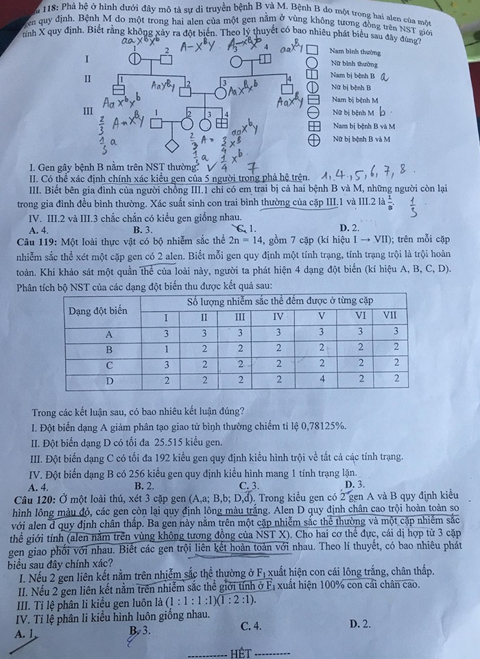 De thi thu THPTQG 2019 mon Sinh - Chuyen DH Vinh lan 3