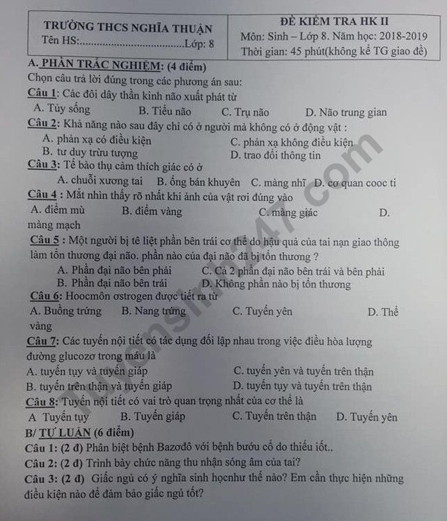 De thi ki 2 lop 8 mon Sinh 2019 - THCS Nghia Thuan