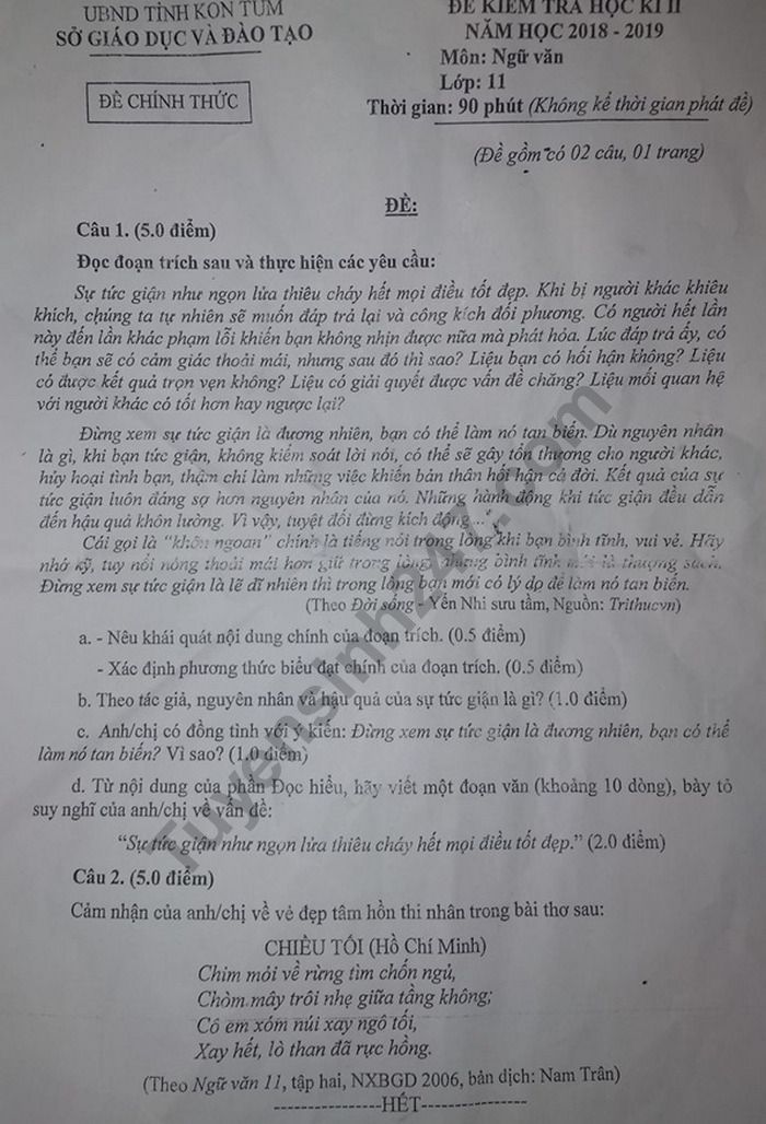 De thi hoc ki 2 lop 11 mon Van - Tinh Kon Tum nam 2019