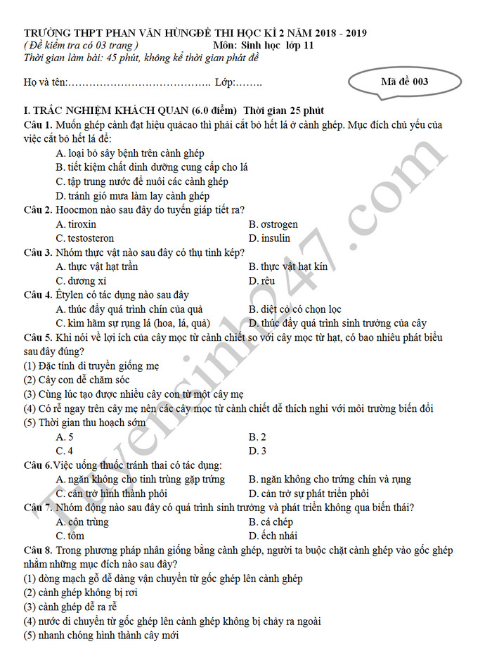 De ki 2 mon Sinh lop 11 - THPT Phan Van Hung nam 2019