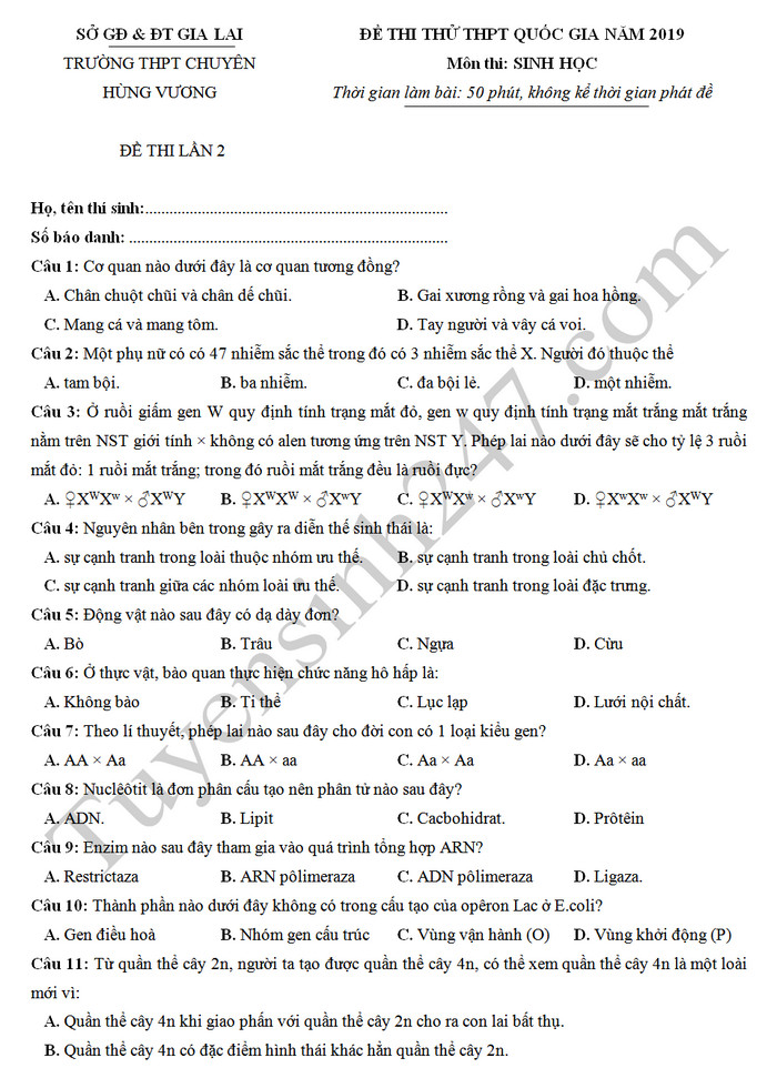 De thi thu THPTQG 2019 mon Sinh - Chuyen Hung Vuong lan 2