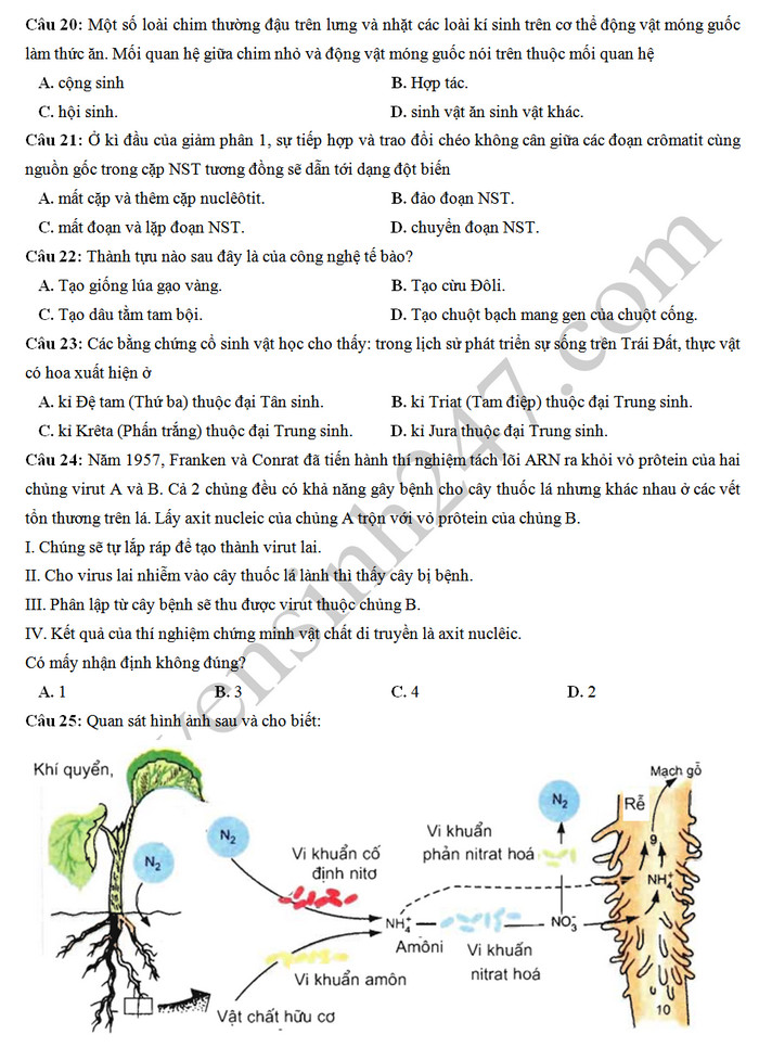 De thi thu THPTQG 2019 mon Sinh - Chuyen Hung Vuong lan 2