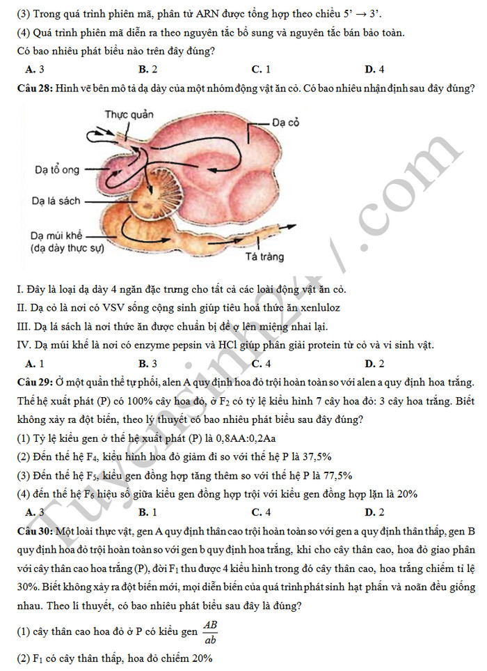 De thi thu THPTQG 2019 mon Sinh - Chuyen Quoc Hoc Hue lan 3