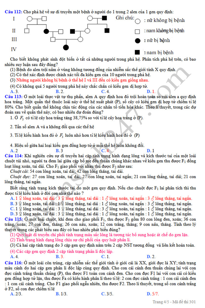 De thi thu THPTQG mon Sinh nam 2019 - THPT Quynh Luu 4 lan 3