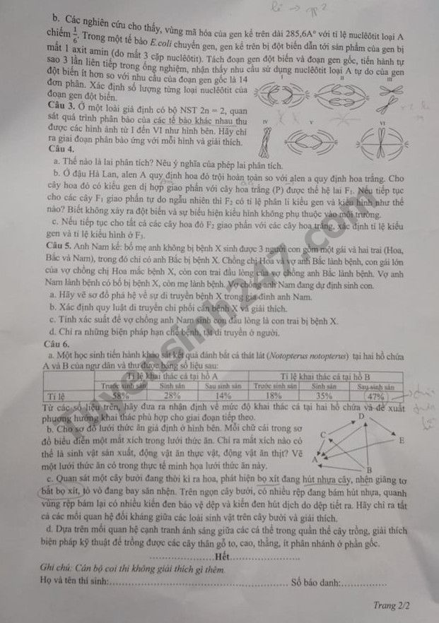 Dap an de thi vao lop 10 mon Sinh chuyen 2019 - Chuyen Su pham HN