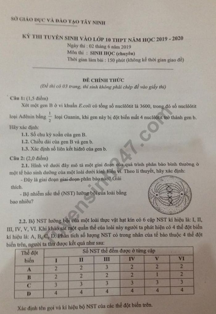 De thi vao lop 10 mon Sinh - Chuyen Tay Ninh 2019