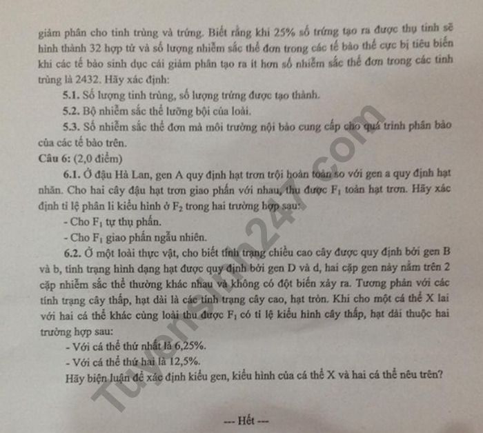 De thi vao lop 10 mon Sinh - Chuyen Tay Ninh 2019