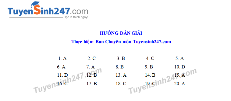 Dap an de thi vao lop 10 mon Tong hop nam 2019 So GD Vinh Phuc
