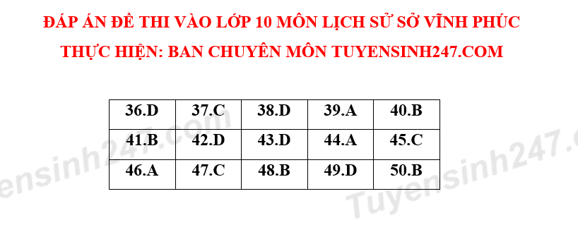 Dap an de thi vao lop 10 mon Tong hop nam 2019 So GD Vinh Phuc