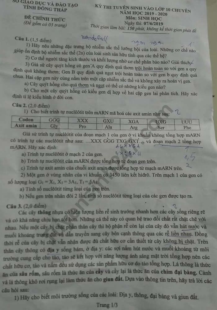 De thi vao lop 10 mon Sinh truong Chuyen Dong Thap nam 2019