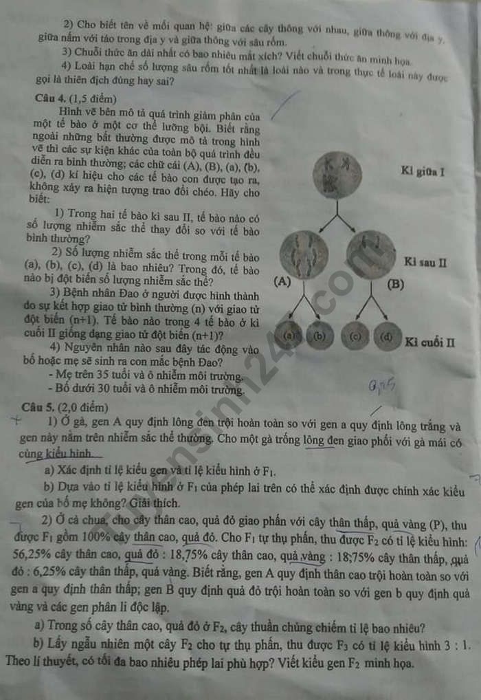 De thi vao lop 10 mon Sinh truong Chuyen Dong Thap nam 2019