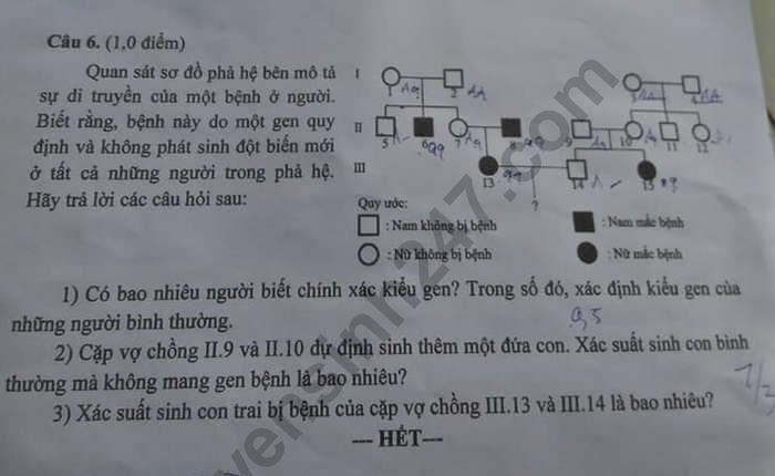 De thi vao lop 10 mon Sinh truong Chuyen Dong Thap nam 2019