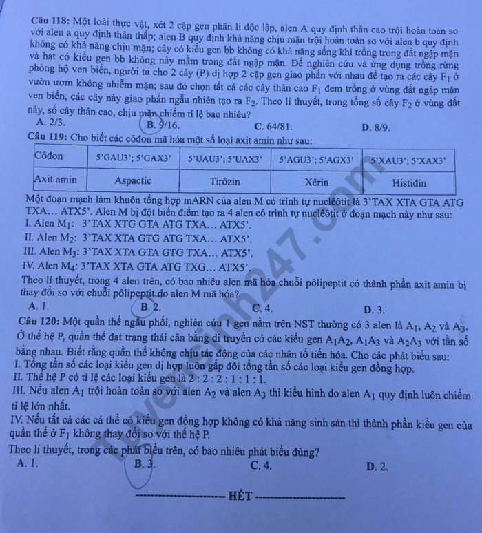 Dap an de thi THPTQG nam 2019 mon Sinh ma 207 cua Bo GD