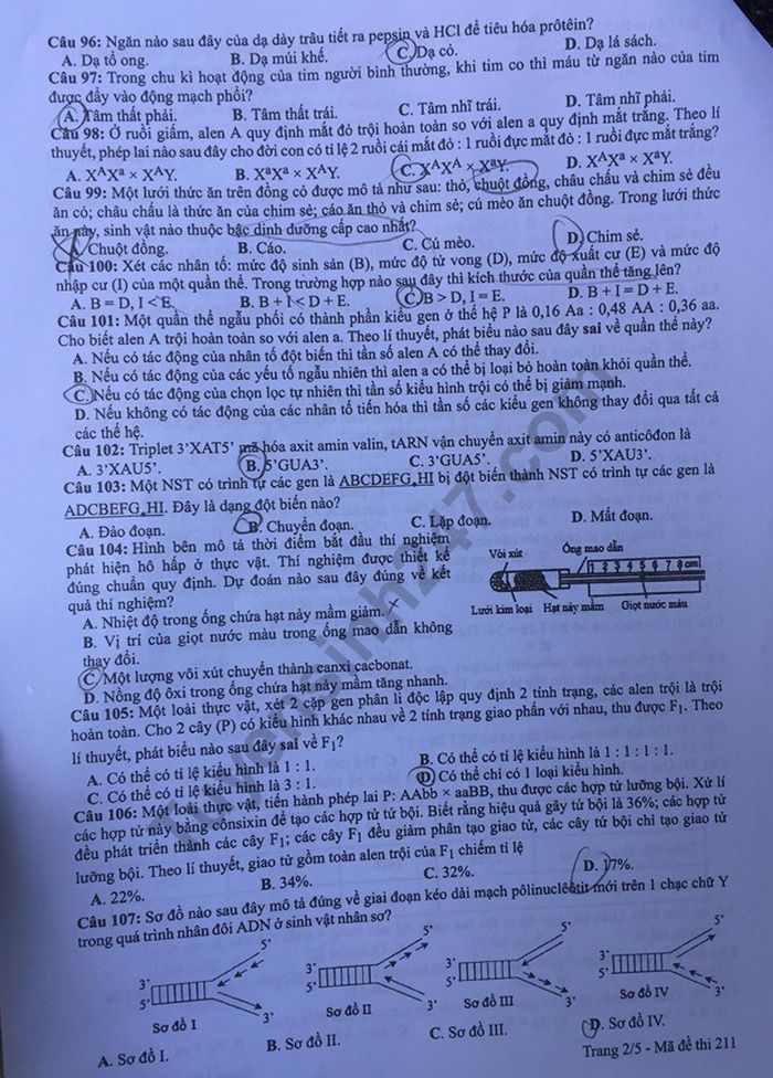 Dap an de thi THPTQG mon Sinh nam 2019 ma de 211 cua Bo GD