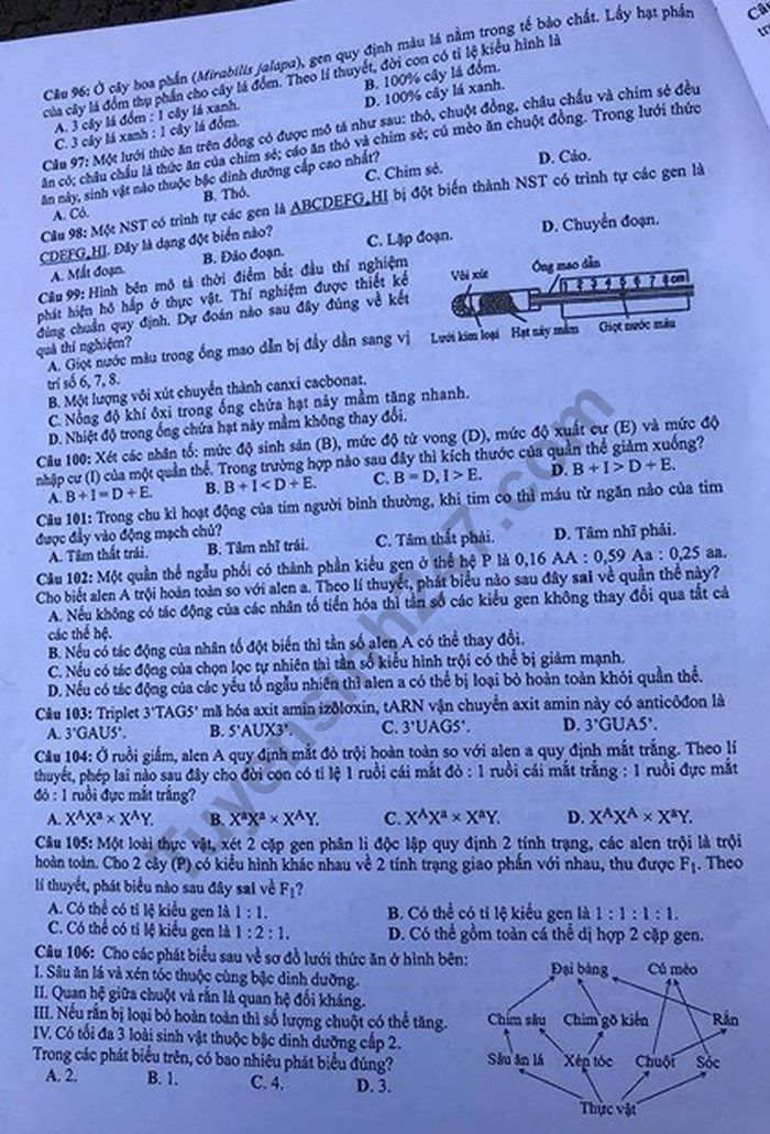 Dap an de thi THPTQG mon Sinh nam 2019 ma de 215 cua Bo GD
