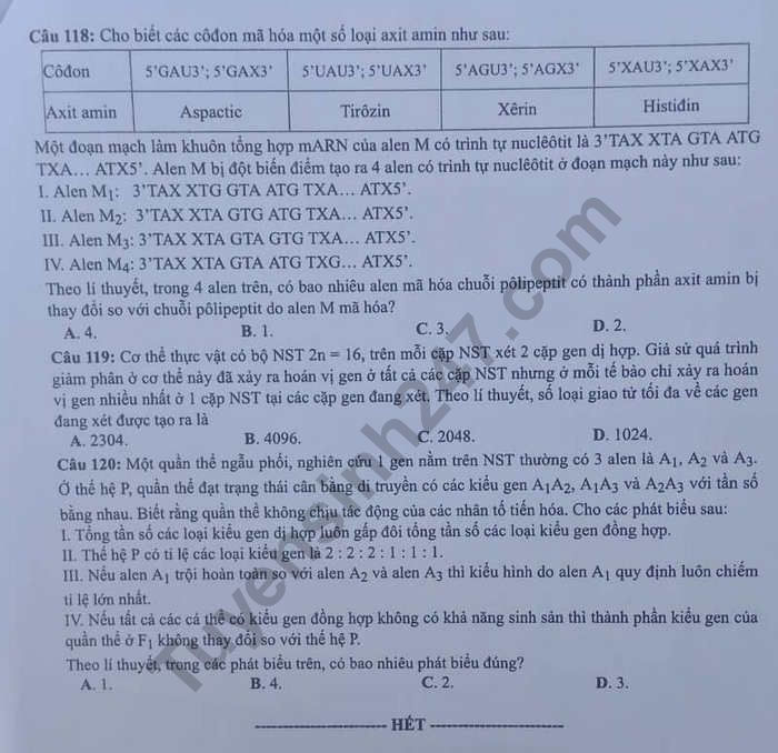 Dap an de thi Sinh thi THPTQG nam 2019 ma 217 cua Bo GD