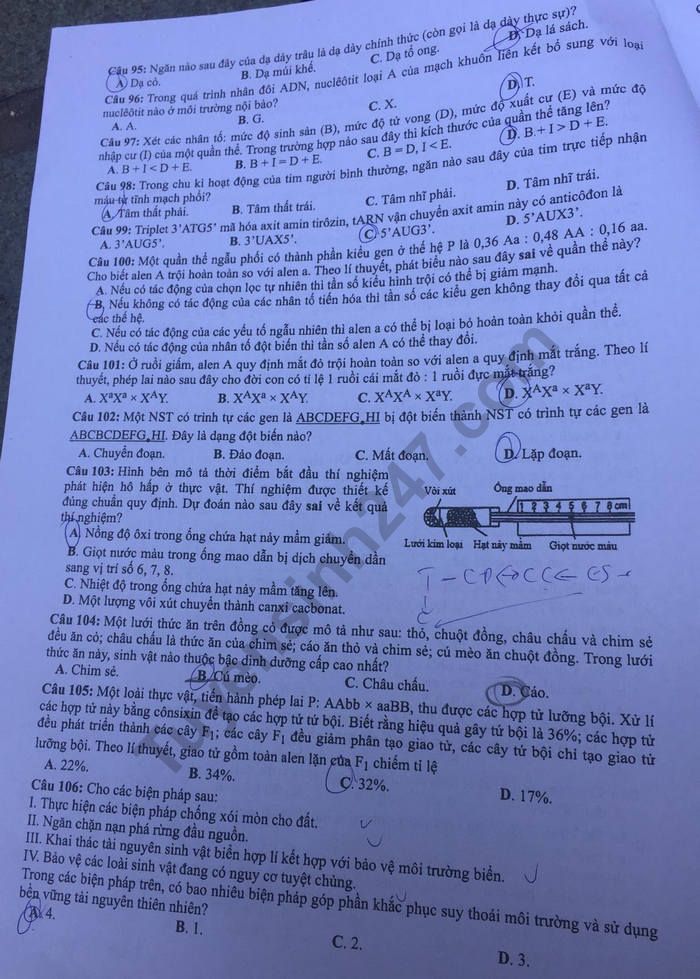 Dap an de thi THPTQG nam 2019 mon Sinh ma de 220 cua Bo GD