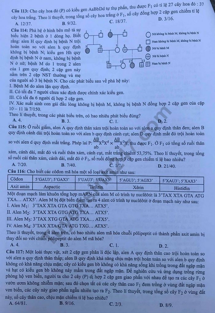 Dap an de thi THPTQG nam 2019 mon Sinh ma 221 cua Bo GD