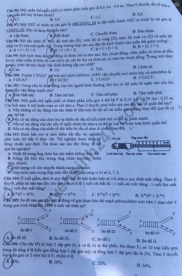 Dap an de thi THPTQG nam 2019 mon Sinh ma de 223 cua Bo GD