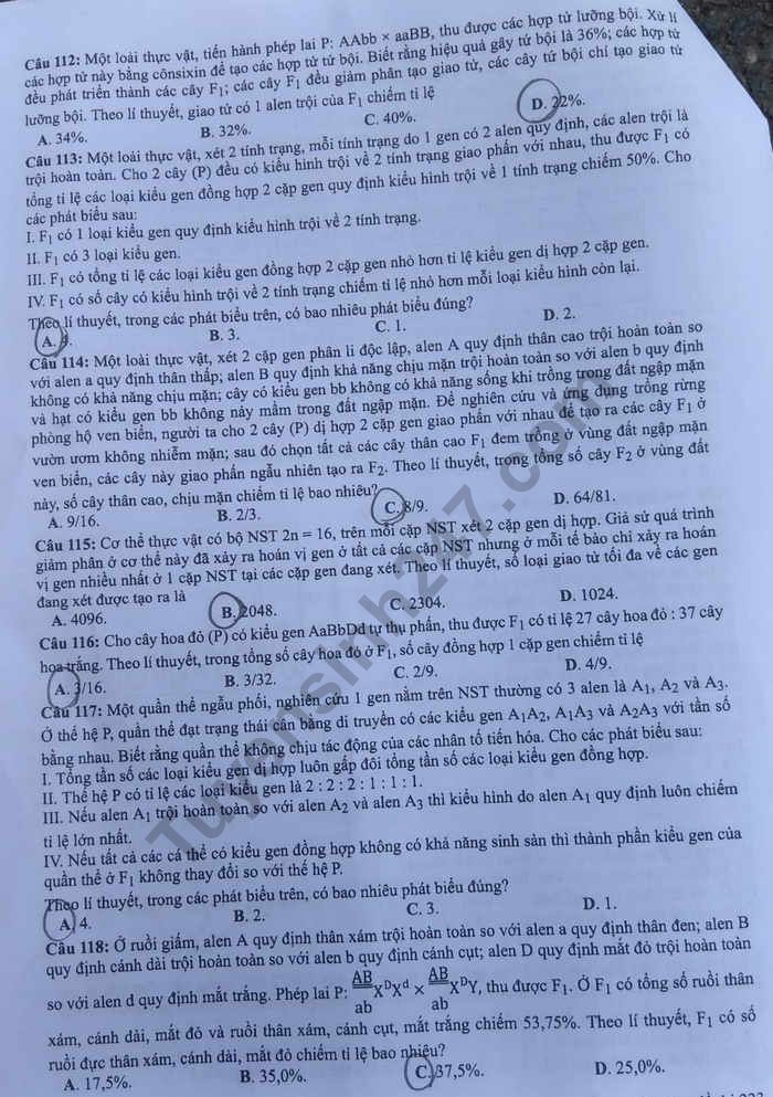 Dap an de thi THPTQG nam 2019 mon Sinh ma de 223 cua Bo GD