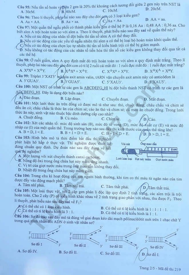 Dap an de thi Sinh thi THPTQG nam 2019 ma de 219 cua Bo GD