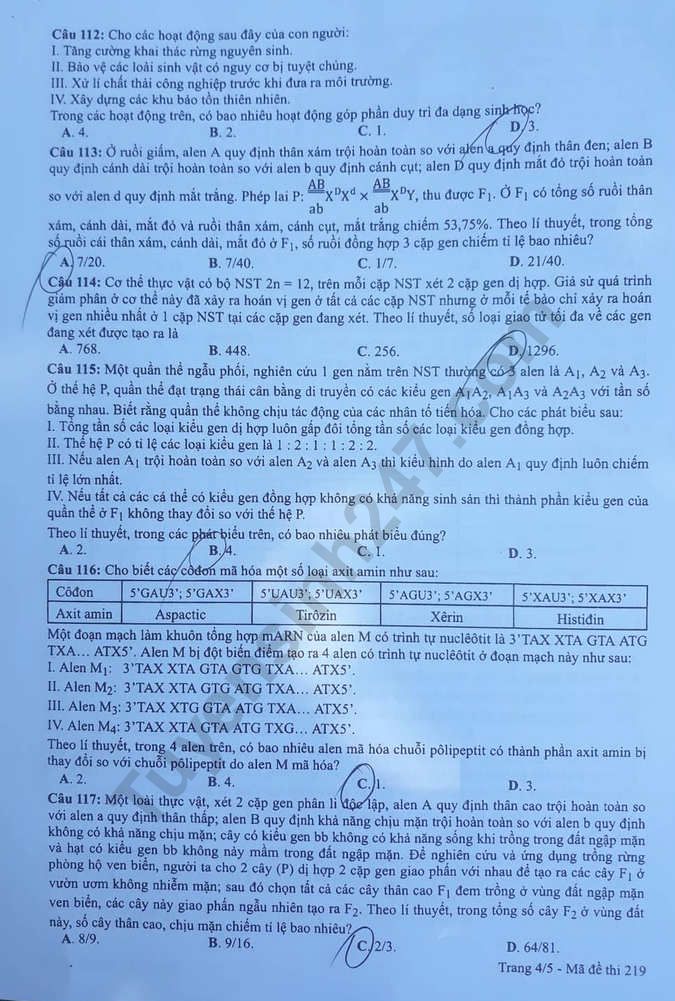 Dap an de thi Sinh thi THPTQG nam 2019 ma de 219 cua Bo GD
