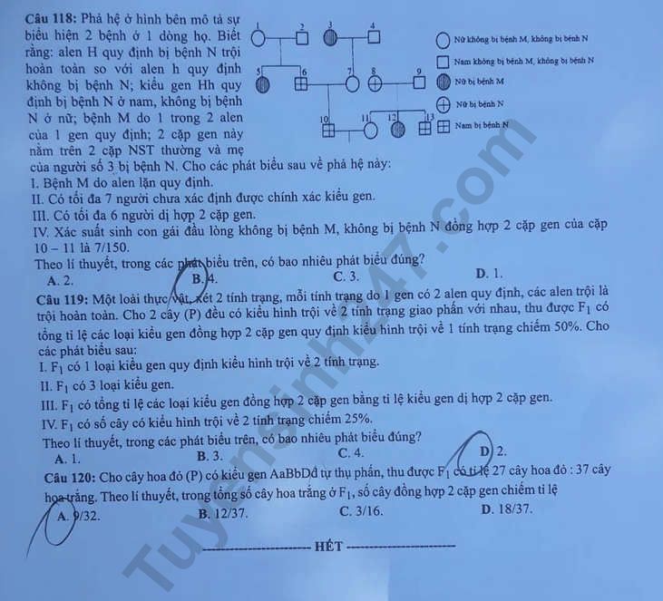Dap an de thi Sinh thi THPTQG nam 2019 ma de 219 cua Bo GD