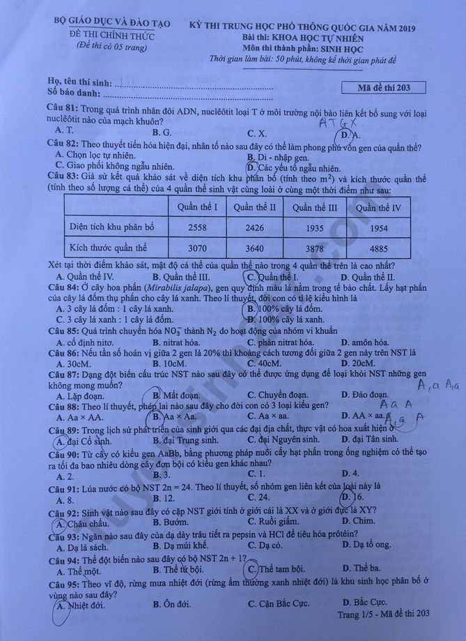 Dap an de thi THPTQG mon Sinh nam 2019 ma de 203 cua Bo GD