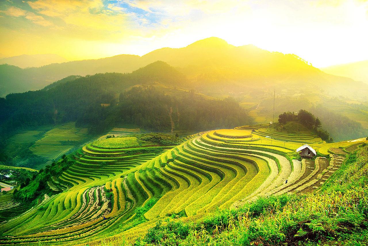 Tu vi 12 cung hoang dao thu Bay ngay 6/7/2019