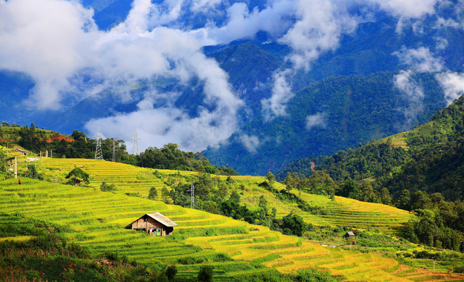 Tu vi 12 cung hoang dao thu Sau ngay 26/7/2019