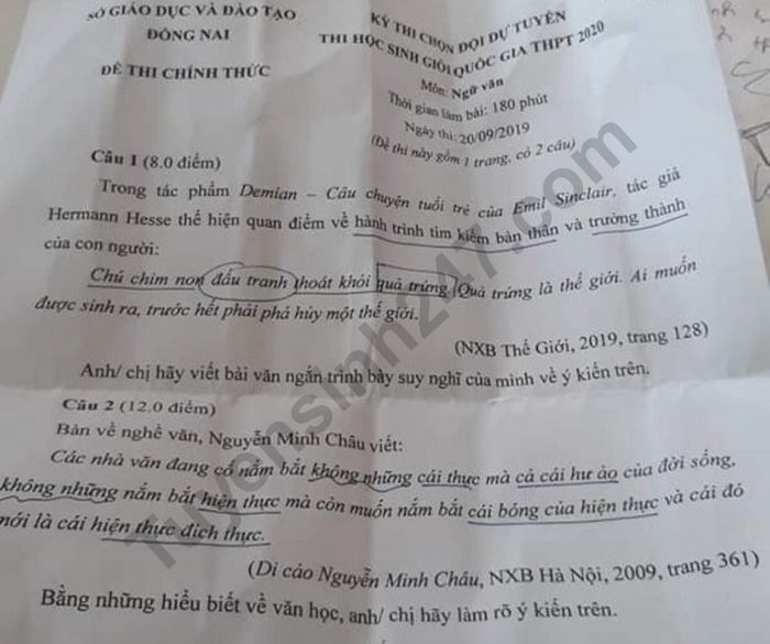 De thi chon HSG Quoc gia THPT 2020 mon Van - So GD Dong Nai
