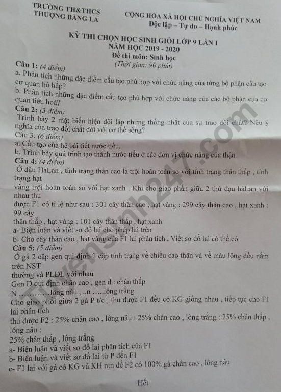 De thi chon HSG lop 9 mon Sinh - THCS Thuong Bang La 2019