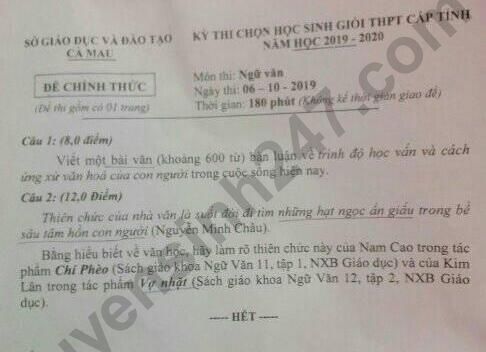 De thi chon hoc sinh gioi cap tinh 2020 mon Van THPT - So GD Ca Mau