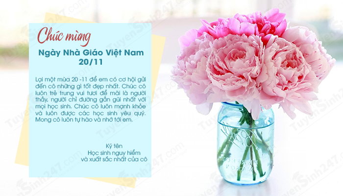 Bo thiep chuc mung ngay nha giao Viet Nam 20/11 y nghia