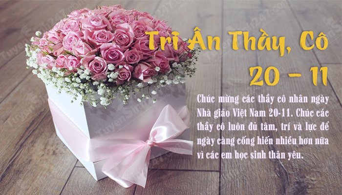 Bo thiep chuc mung ngay nha giao Viet Nam 20/11 y nghia