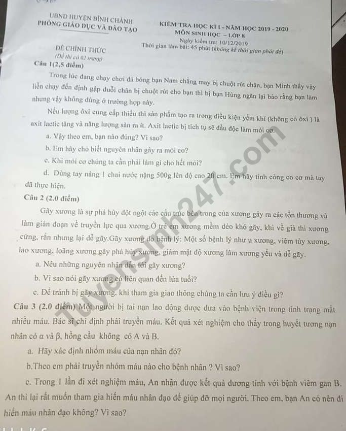 De thi ki 1 lop 8 mon Sinh 2019 - 2020 Binh Chanh
