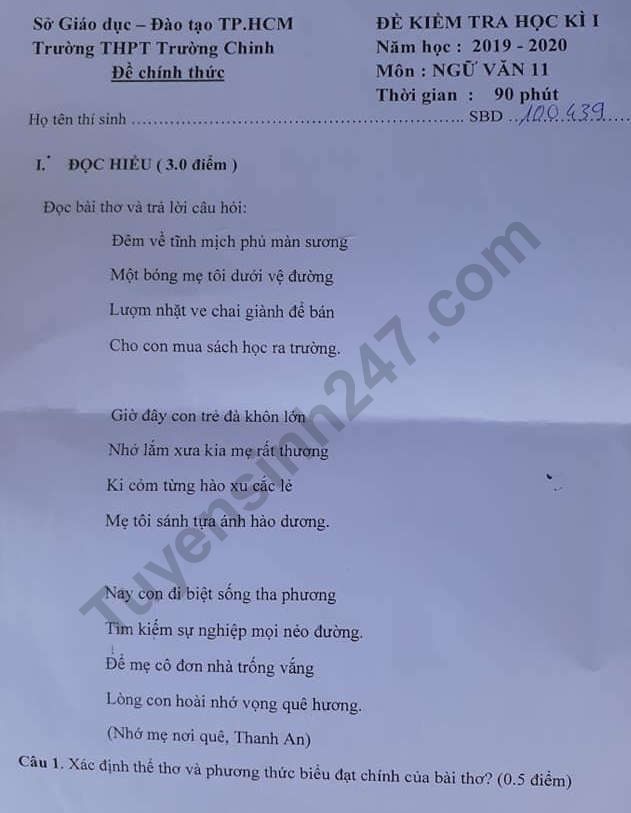 De thi lop 11 mon Van ki 1 - THPT Truong Chinh nam 2019