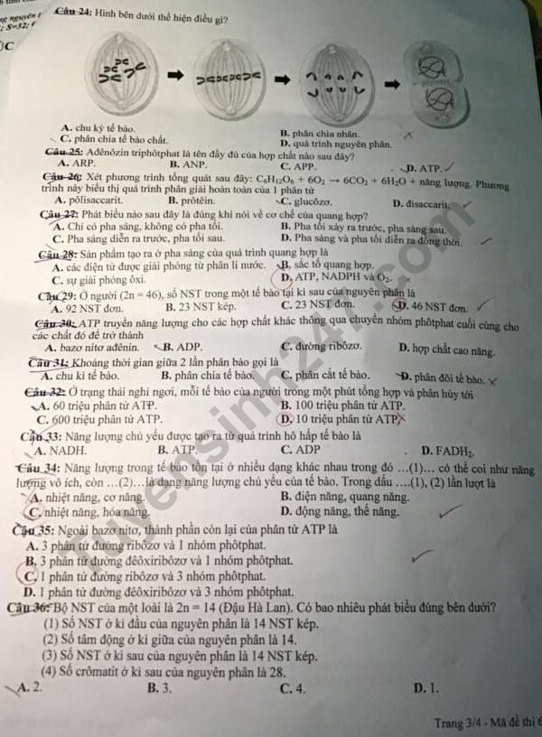 De thi cuoi ki 1 mon Sinh lop 10 THPT Nguyen Khuyen nam 2019