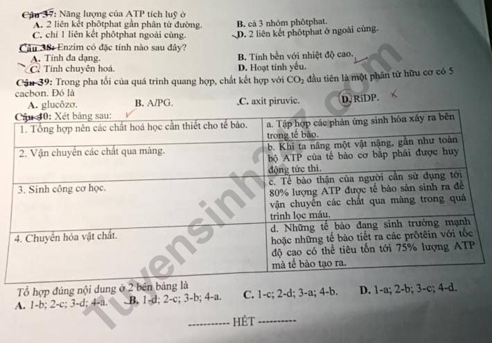 De thi cuoi ki 1 mon Sinh lop 10 THPT Nguyen Khuyen nam 2019