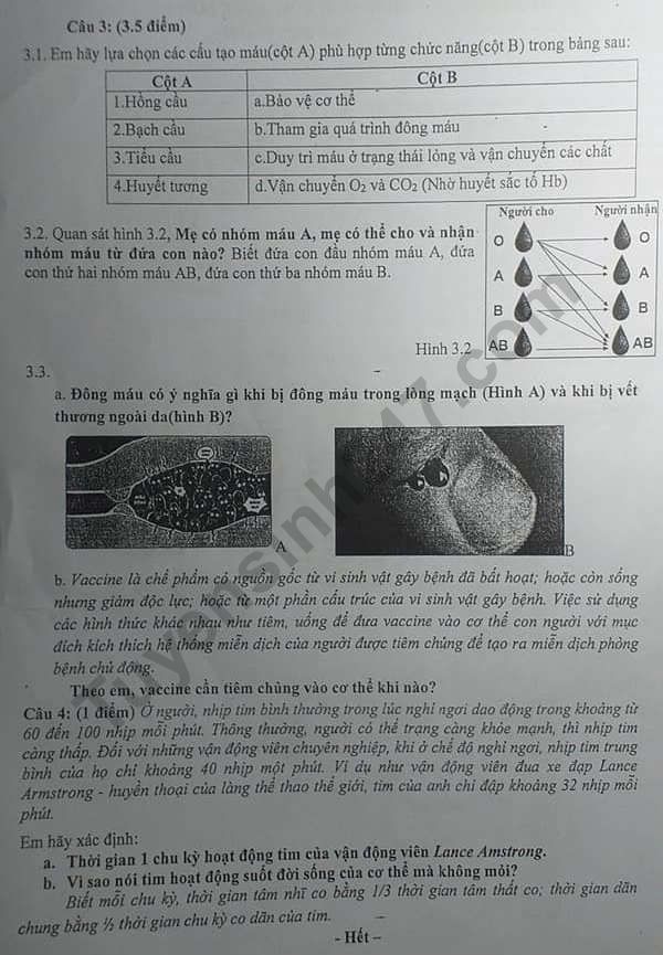 De thi mon Sinh lop 9 hoc ki 1 Phong GD&DT Hoc Mon 2019