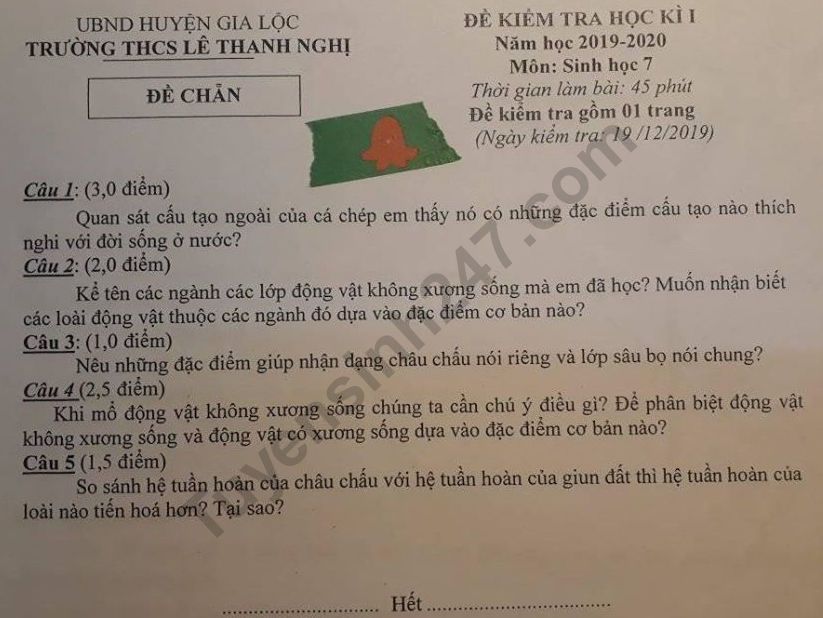 De thi hoc ki 1 lop 7 mon Sinh THCS Le Thanh Nghi 2019
