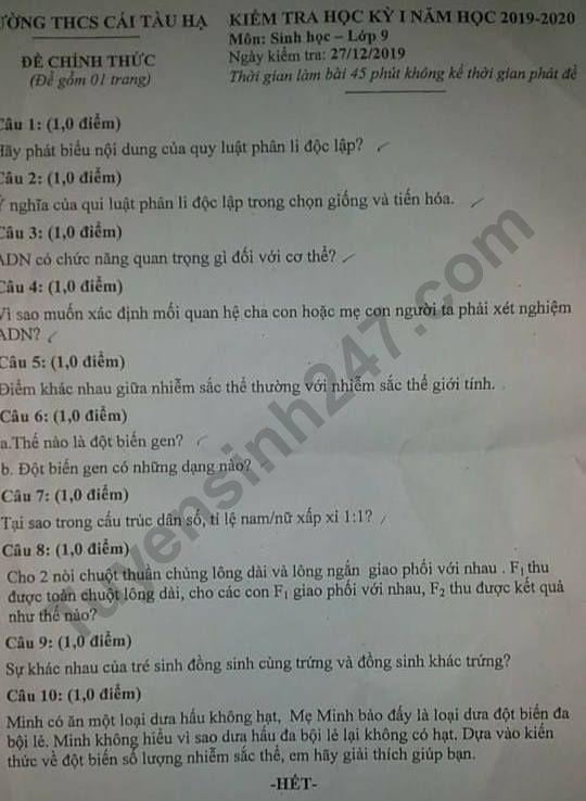 De thi ki 1 mon Sinh lop 9 THCS Cai Tau Ha 2019 - 2020